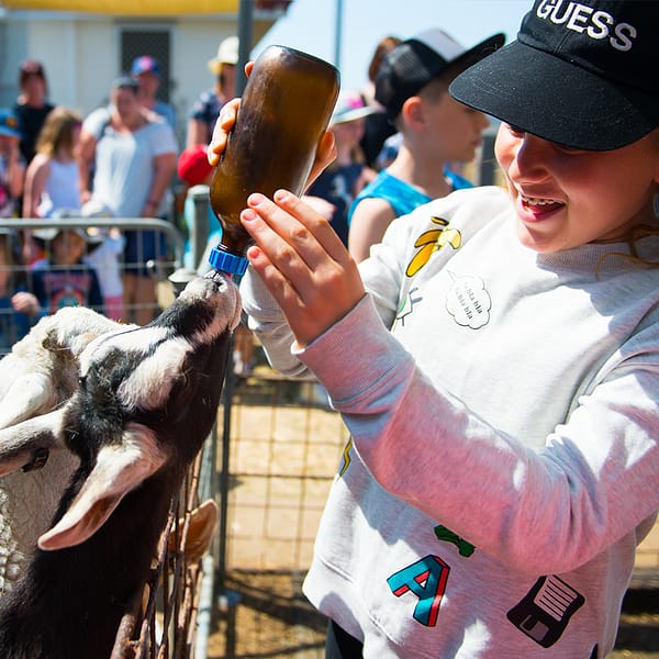 Girl wearing a gray sweater and black cap feeding a goat with milk
