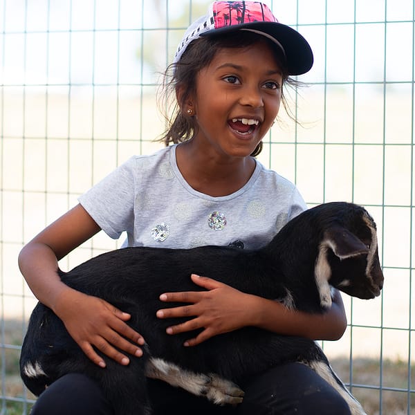 Smiling little girl holding a goat like a baby